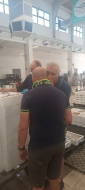 Asta del pesce all'antica, secoli che è così al mercato ittico di Chioggia